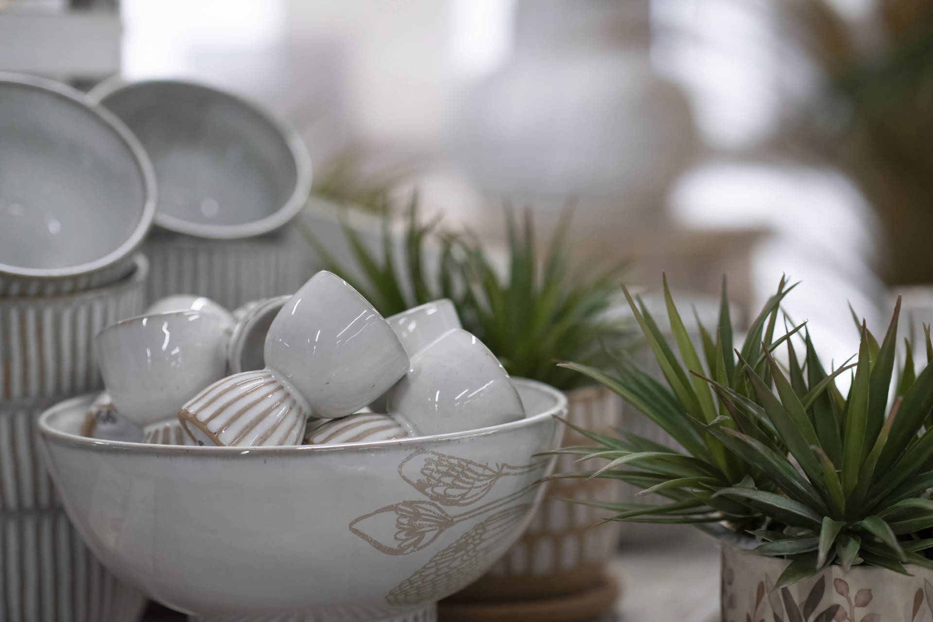 Home & Beyond Cairns Furniture & Homewares